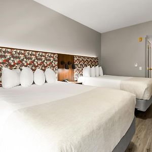 Suite Two Queen Beds Full Kitchenette Mobility Access or Non-Smoking